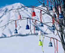 Load image into Gallery viewer, Snow Silver BELLS VACUUM BOTTLE WITH SUS316 STAINLESS STEEL.
